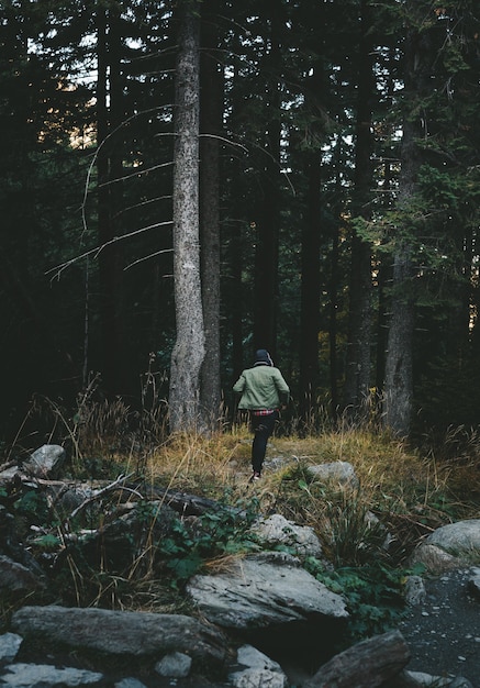 Premium Photo A Boy Running Through The Forest