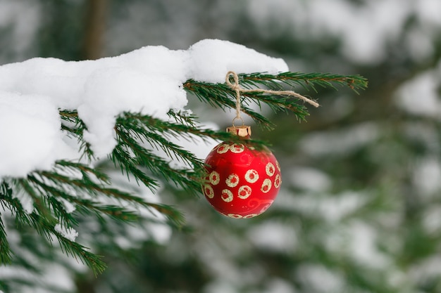 Premium Photo | Branch of fir-tree and ball