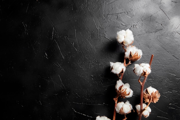 暗い黒い石の背景に白いふわふわ綿の花の枝 プレミアム写真