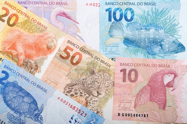 brazilian-reals-bills-premium-photo