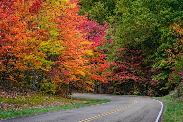 Vista Autunnale Mozzafiato Di Una Strada Circondata Da Foglie Di Alberi Belli E Colorati Foto 3946