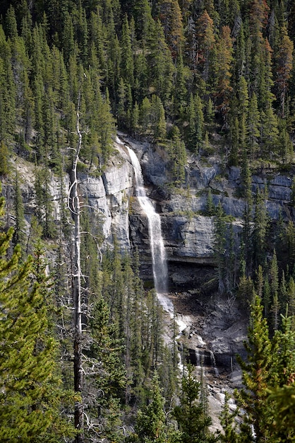 Premium Photo | Bridal veil falls view in icefields parkway canada