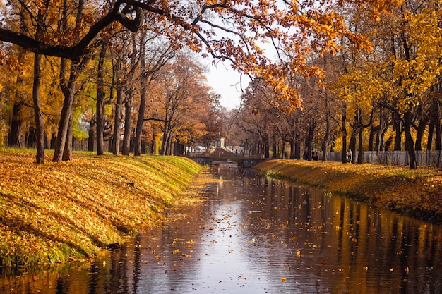 Городская Осень Фото