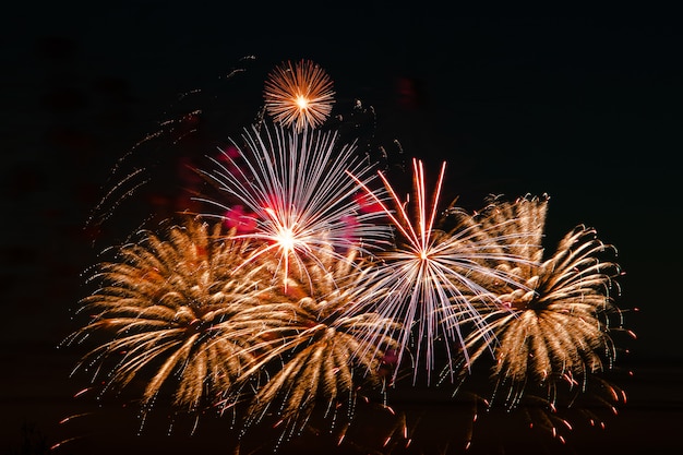 お祭りの夜に明るい色の花火 空の色の火の爆発 プレミアム写真