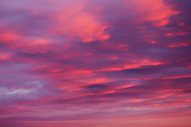 夕暮れ時の明るいピンクの空の背景 プレミアム写真