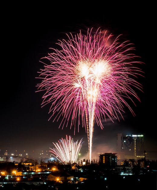 Premium Photo | Brightly colorful fireworks and salute of various ...