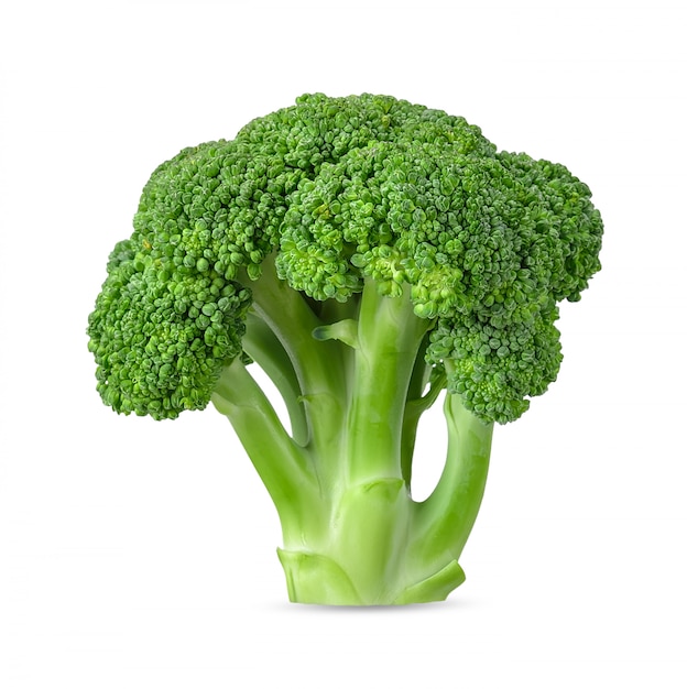 Premium Photo | Broccoli isolated on white background clipping path