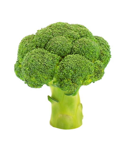 Premium Photo | Broccoli on white isolated