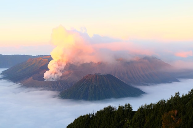 Premium Photo | Bromo mount