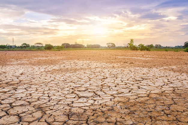 Brown dry soil or cracked ground texture Premium Photo