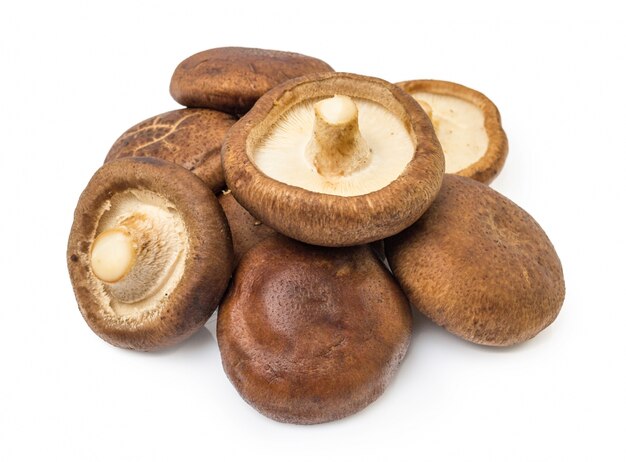 Brown mushroom Free Photo
