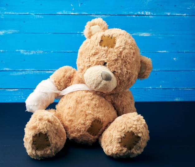 paw teddy bear
