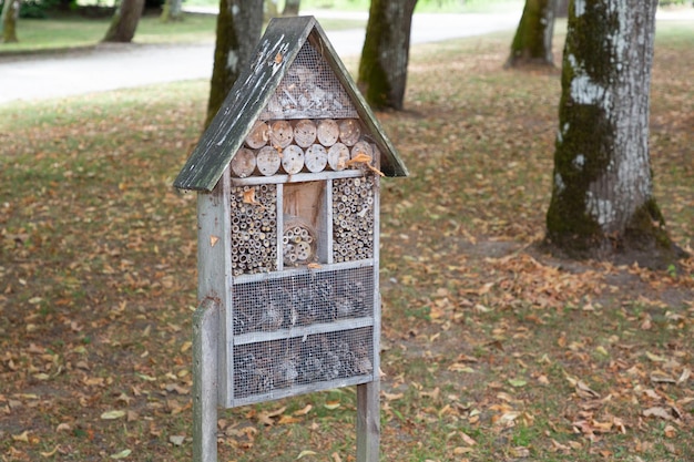 Premium Photo | Bug hotel wood insect house ladybird wooden bee home in ...