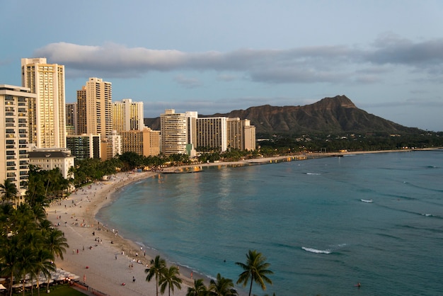 Premium Photo | Buildings along beachfront, waikiki, honolulu, oahu ...