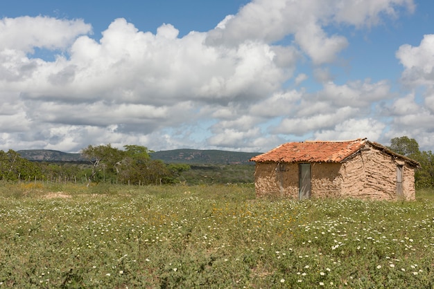 ブイケ ペルナンブコ ブラジル 16年6月17日 ベールの花畑の粘土の家はカチンバウ プレミアム写真