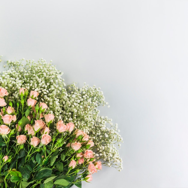 Bunch Of Baby S Breath Flowers And Pink Roses On White Background