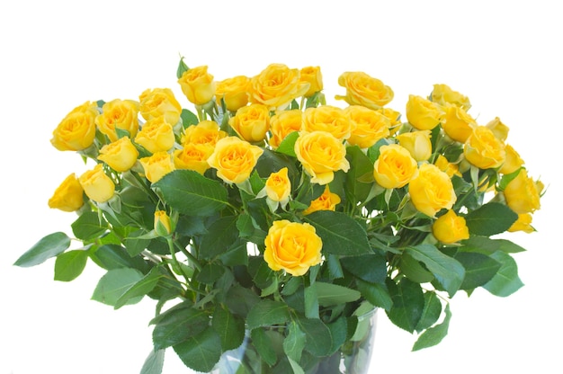 Premium Photo | Bunch of fresh yellow roses isolated on white