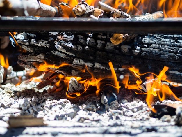 Burning Woods In Fire Pit Photo Free Download