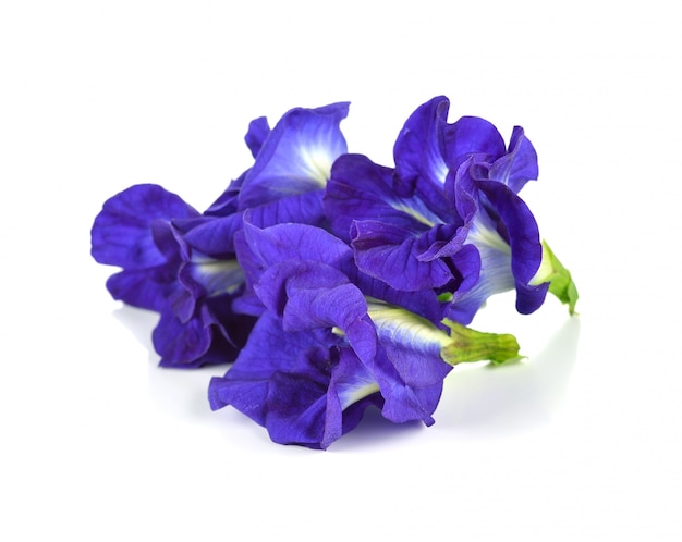 Premium Photo Butterfly Pea Flower