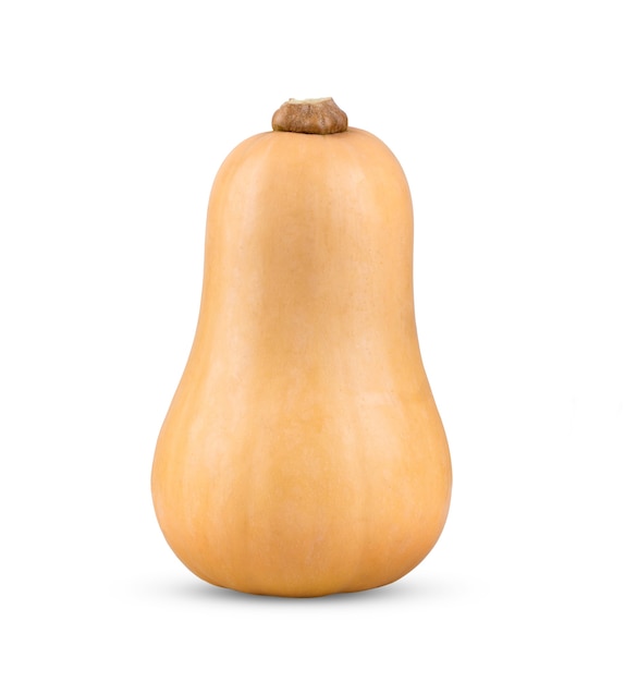 Premium Photo | Butternut squash isolated on white background