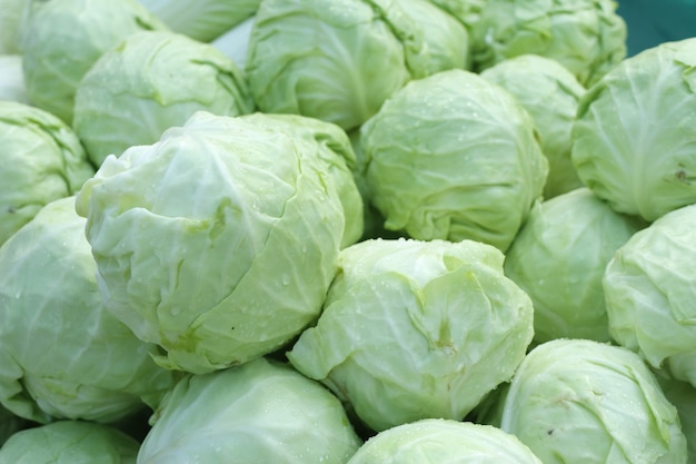 Premium Photo | Cabbage at the market