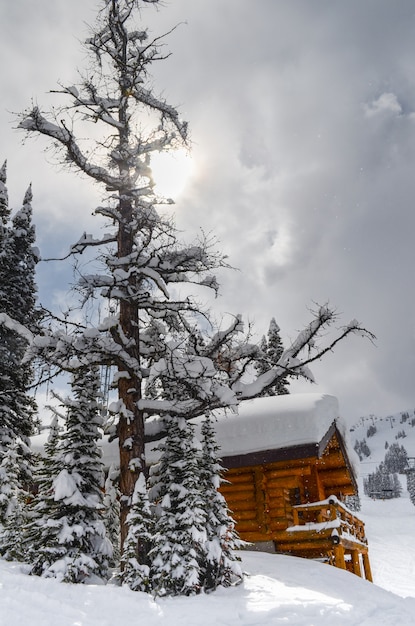 Cabin In The Snow Surrounded By Evergreens In The Rocky Mountains