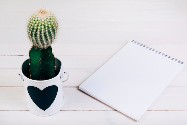 Cactus Plant In Cup Near The Blank Spiral Notepad On Wooden Desk