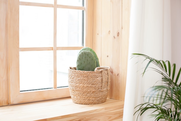 A Cactus In A Straw Pot Stands On A Wooden Windowsill Near The