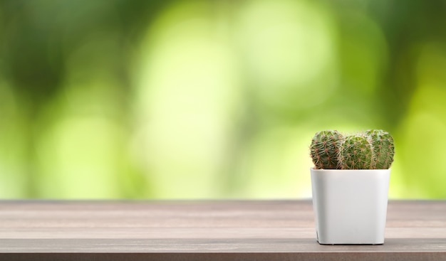 Cactus On Wood Office Desk Premium Photo
