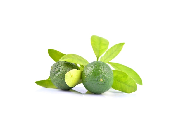 Premium Photo | Calamansi on white background