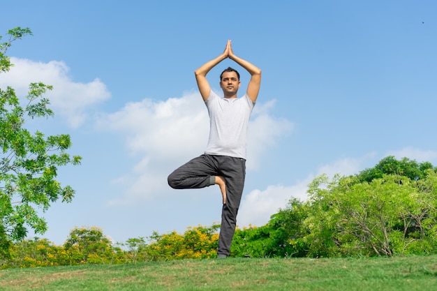 Calm indian man standing in tree yoga pose on green lawn with bushes ...