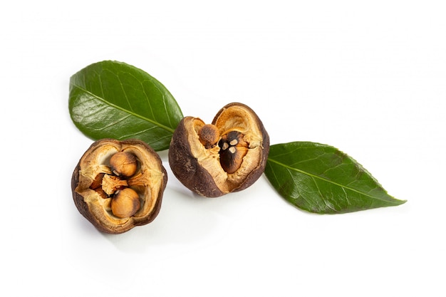 Premium Photo | Camellia seed and leaves isolated