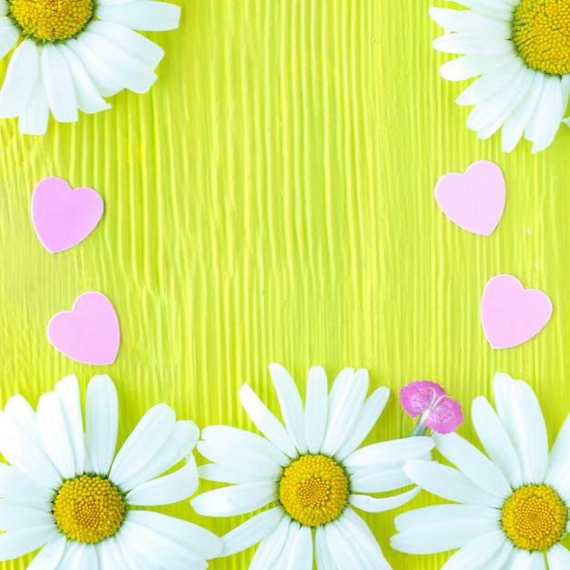 カモミールの花と黄緑色の木製テクスチャ背景にプラスチックのピンクのハート コピースペース プレミアム写真