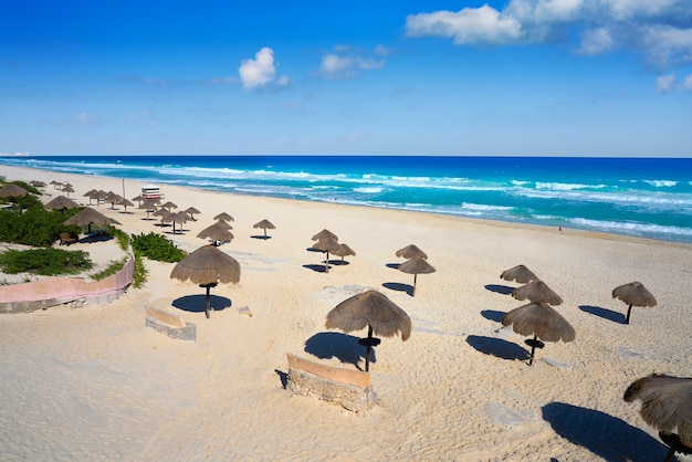 Premium Photo | Cancun delfines beach at hotel zone mexico