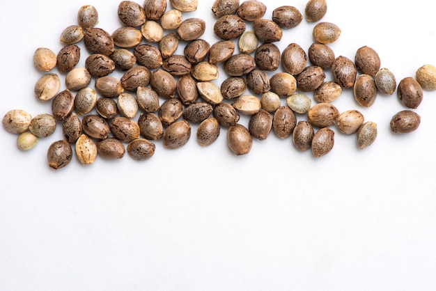 Premium Photo | Cannabis seeds on white background, close up of hemp ...