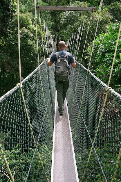 Premium Photo Canopy Bridge