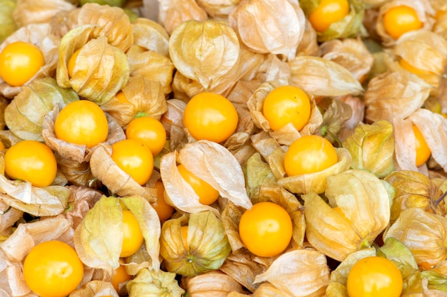 Premium Photo | Cape gooseberry fruit, physalis peruviana fruit in market