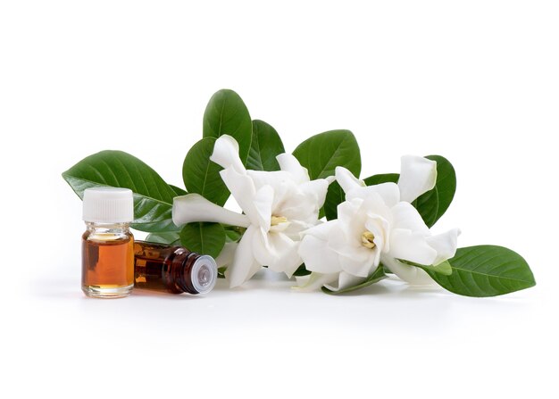 cape jasmine perfume