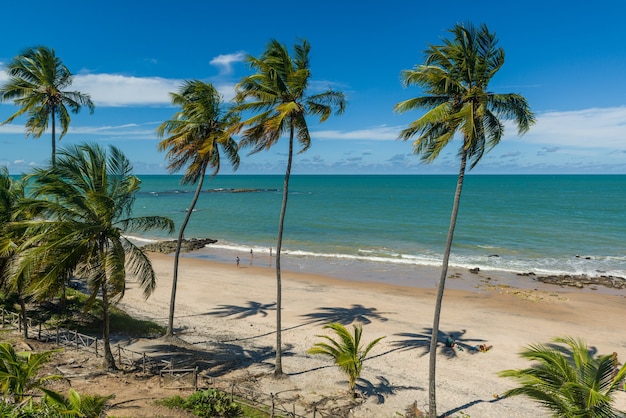 Premium Photo | Carapibus beach near joao pessoa paraiba brazil on june ...