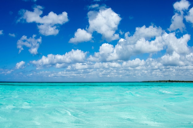 Premium Photo | Caribbean clear beach and tropical sea