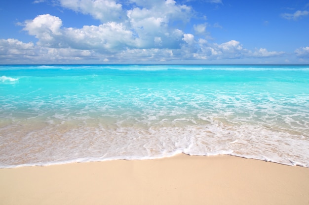 Caribbean turquoise beach perfect sea sunny day | Premium Photo