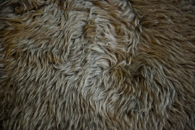 Premium Photo | Carpet background, fabric texture background, brown carpet