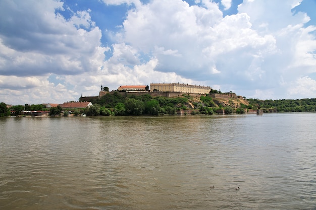 Сербия Нови Сад Фото