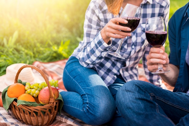 Casual couple drinking red wine on picnic Free Photo