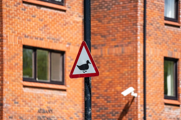 イギリスの道路交通標識を横断する注意のアヒル プレミアム写真