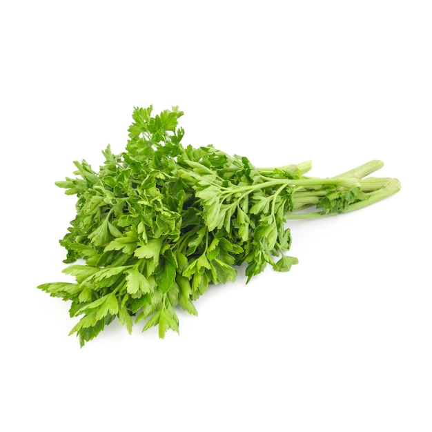 Premium Photo | Celery bouquet isolated