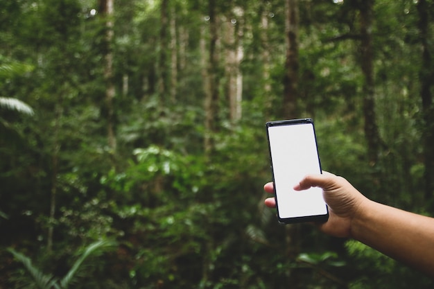 Premium Photo | Cellphone in the forest, there is no contact.