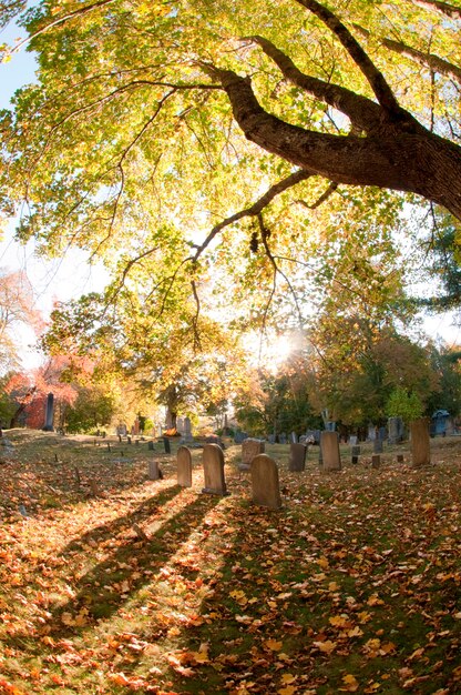 Premium Photo | Cemetary