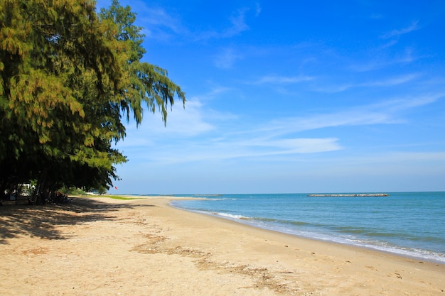 Premium Photo | Chao samran beach ,phetchaburi