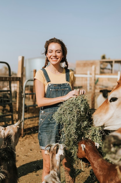 Premium Photo | Cheerful young girl feeding goats and a cow